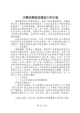 少数民族医改规划工作计划 