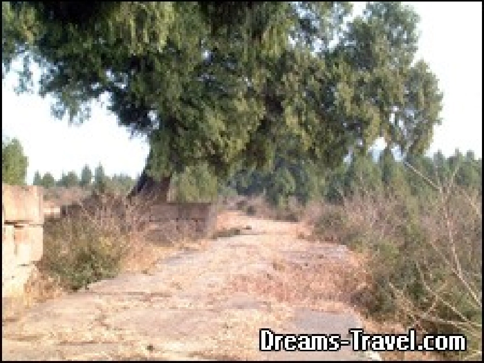 高中语文 第二单元之(蜀道难)课件 语文版必修3 课件_第2页