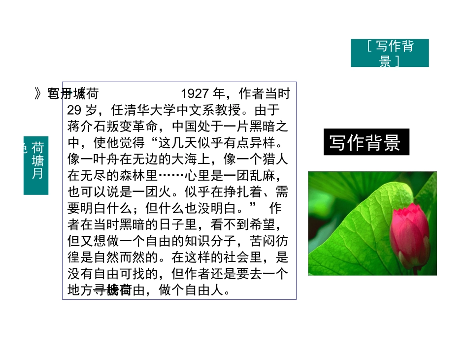 高一语文必修2 荷塘月色 课件_第2页