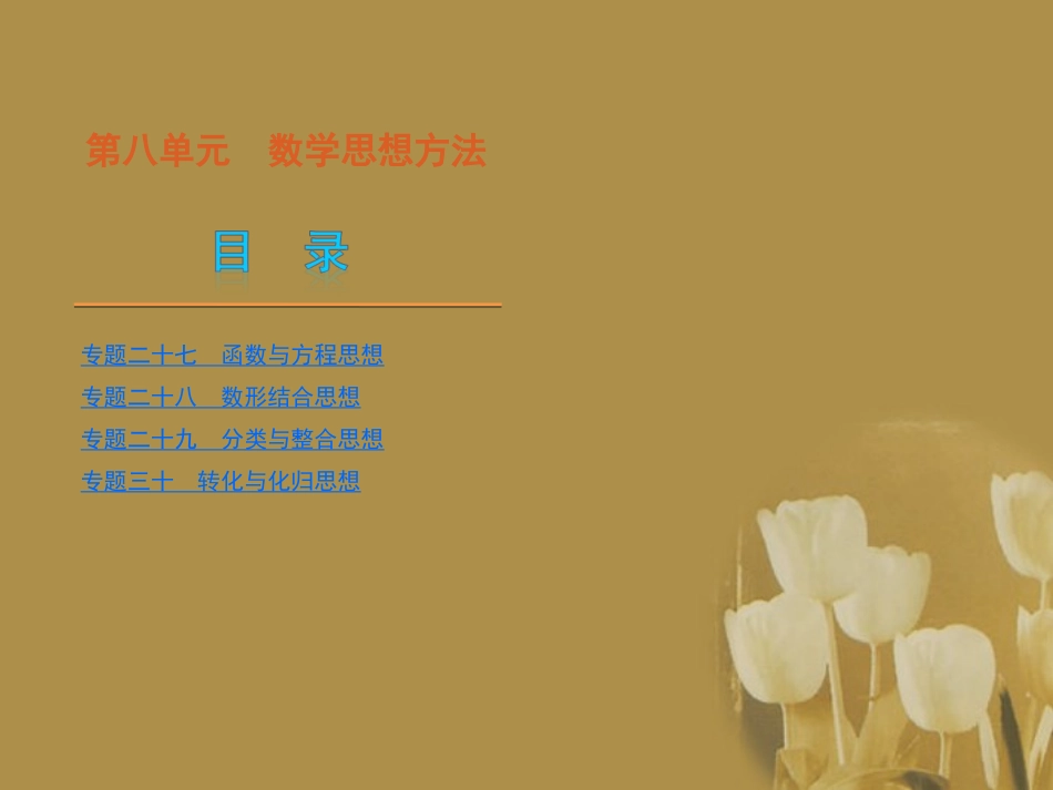 江苏省高考数学二轮复习 专题27 函数与方程思想精品课件_第1页