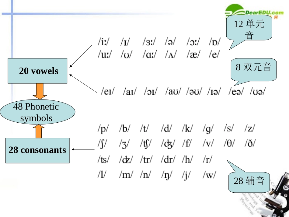 高中英语课程改革培训 IPA and Part of Speech课件_第3页