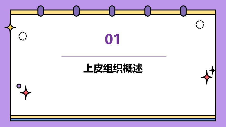 胚胎学上皮组织通用课件_第3页