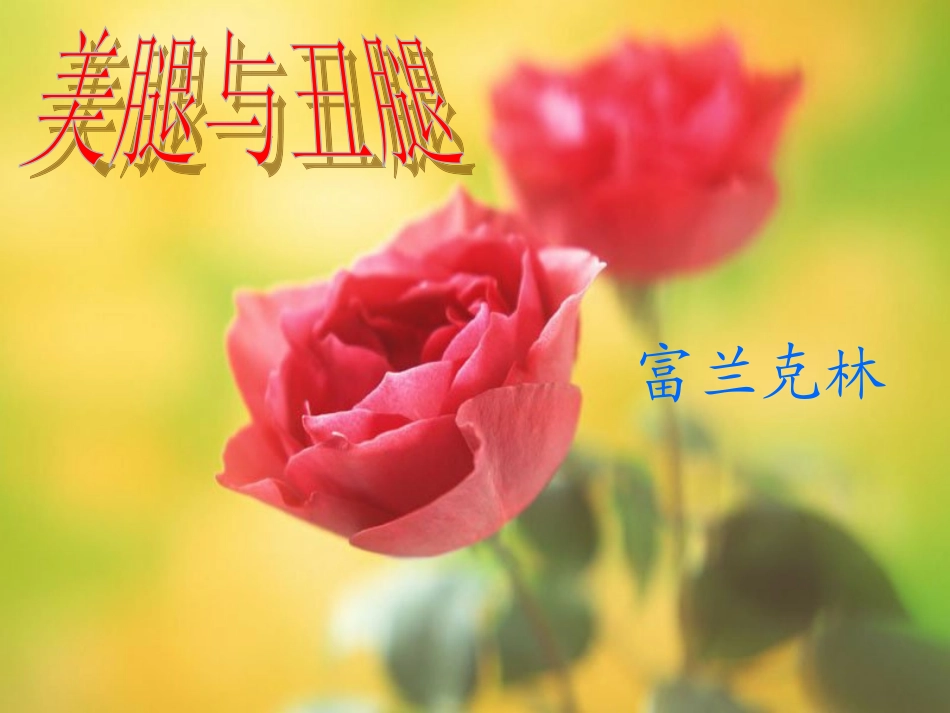 高中语文 第四单元第16课(美腿与丑腿)课件(2) 人教版第三册 课件_第1页