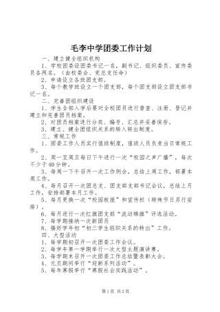 毛李中学团委工作计划 