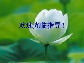 高中语文精品课件4广东教育版 课件
