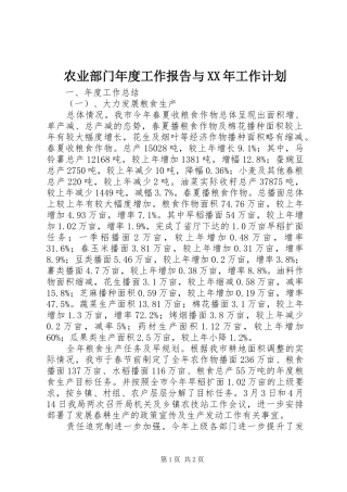 农业部门年度工作报告与XX年工作计划 