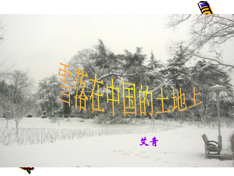 高中语文 4(雪落在中国的土地上)课件沪教版第四册 课件_第2页