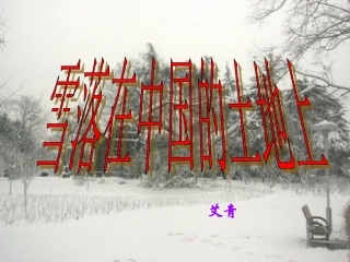 高中语文 第二单元第7课雪落在中国的土地上课件 粤教版必修2 课件