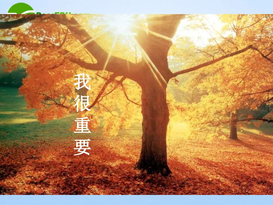 高中语文 12(我很重要)课件 粤教版必修1 课件_第1页