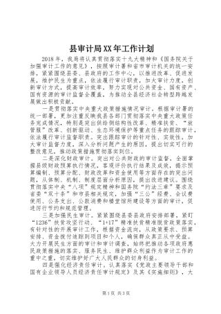 县审计局XX年工作计划 