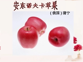 高中语文(安东诺夫卡苹果)课件 新人教版选修 课件