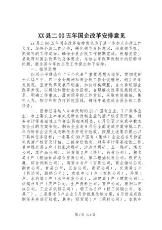 XX县二00五年国企改革安排意见 