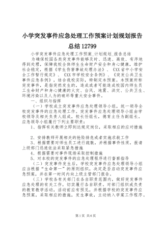 小学突发事件应急处理工作预案计划规划报告总结12799 