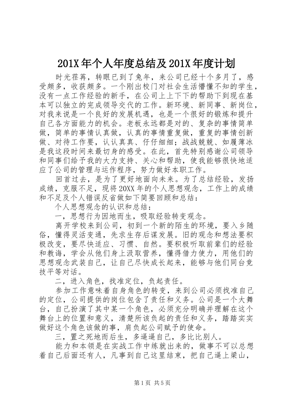 201X年个人年度总结及201X年度计划_第1页