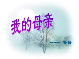 高中语文(我的母亲)课件 粤教版必修2 课件