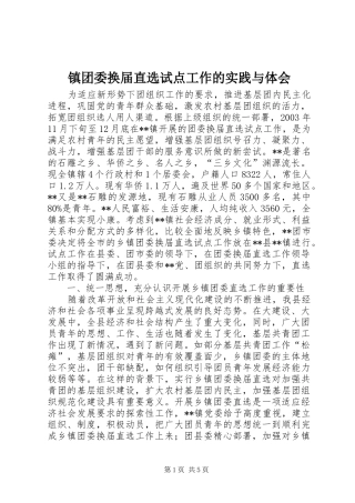 镇团委换届直选试点工作的实践与体会