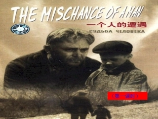 高中语文 (一个人的遭遇)课件 苏教版必修2 课件