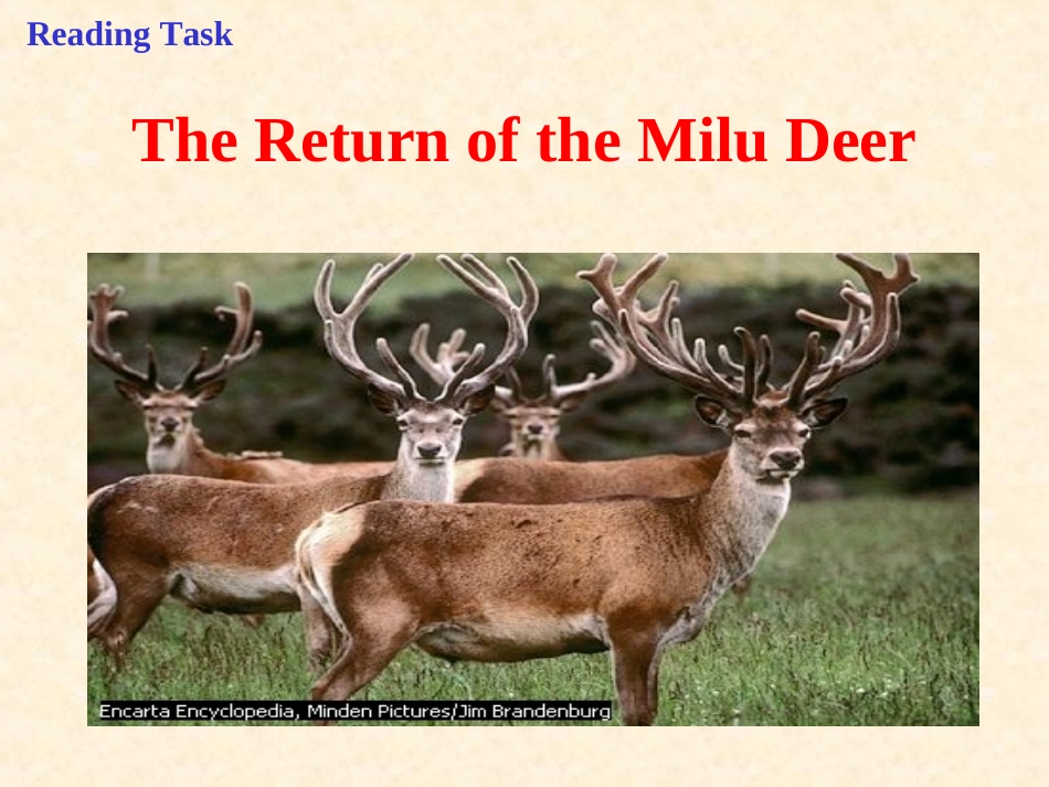 高中英语Unit 4 Wildlife protection-reading task课件 新课标 人教版 必修2 课件_第1页