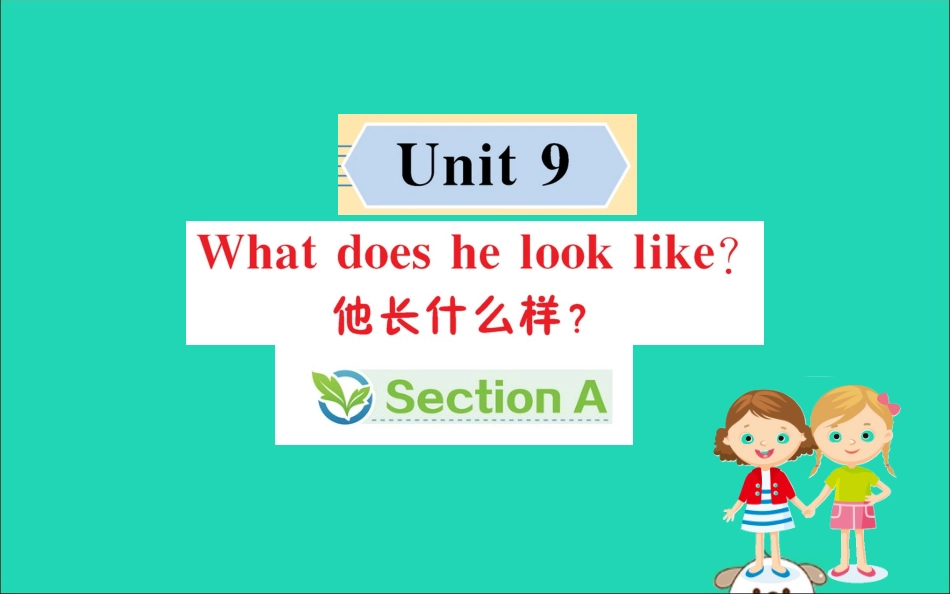 版七年级英语下册 Unit 9 What does he look like Section A训练课件 (新版)人教新目标版 课件_第1页