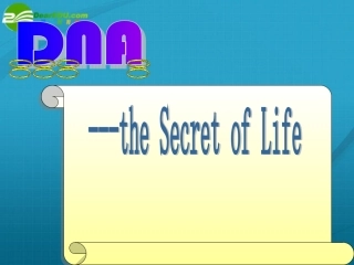 高中英语 Module 2 DNA- the Secret of Life课件 外研版选修9 课件