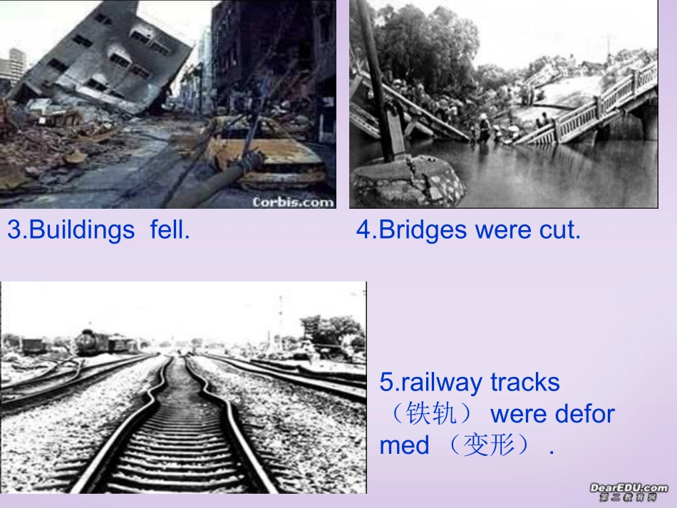 高一英语模块一Unit4 reading 新课标 人教版 课件_第3页