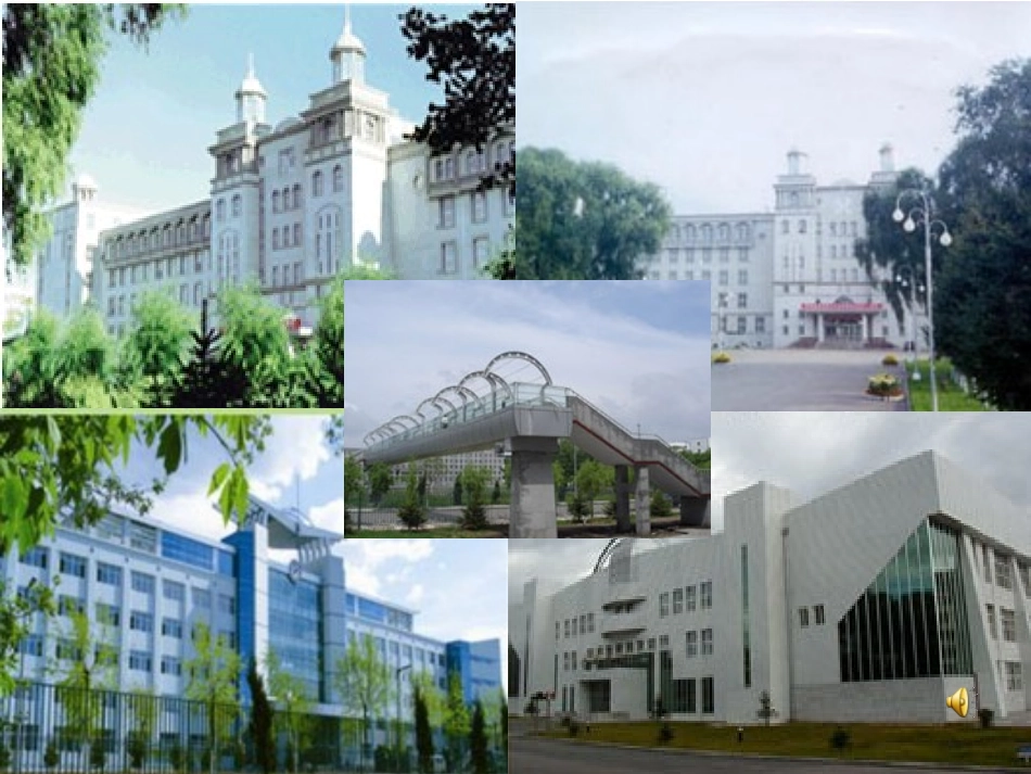 高中英语 module 4 reading课件 外研版必修2 课件_第1页