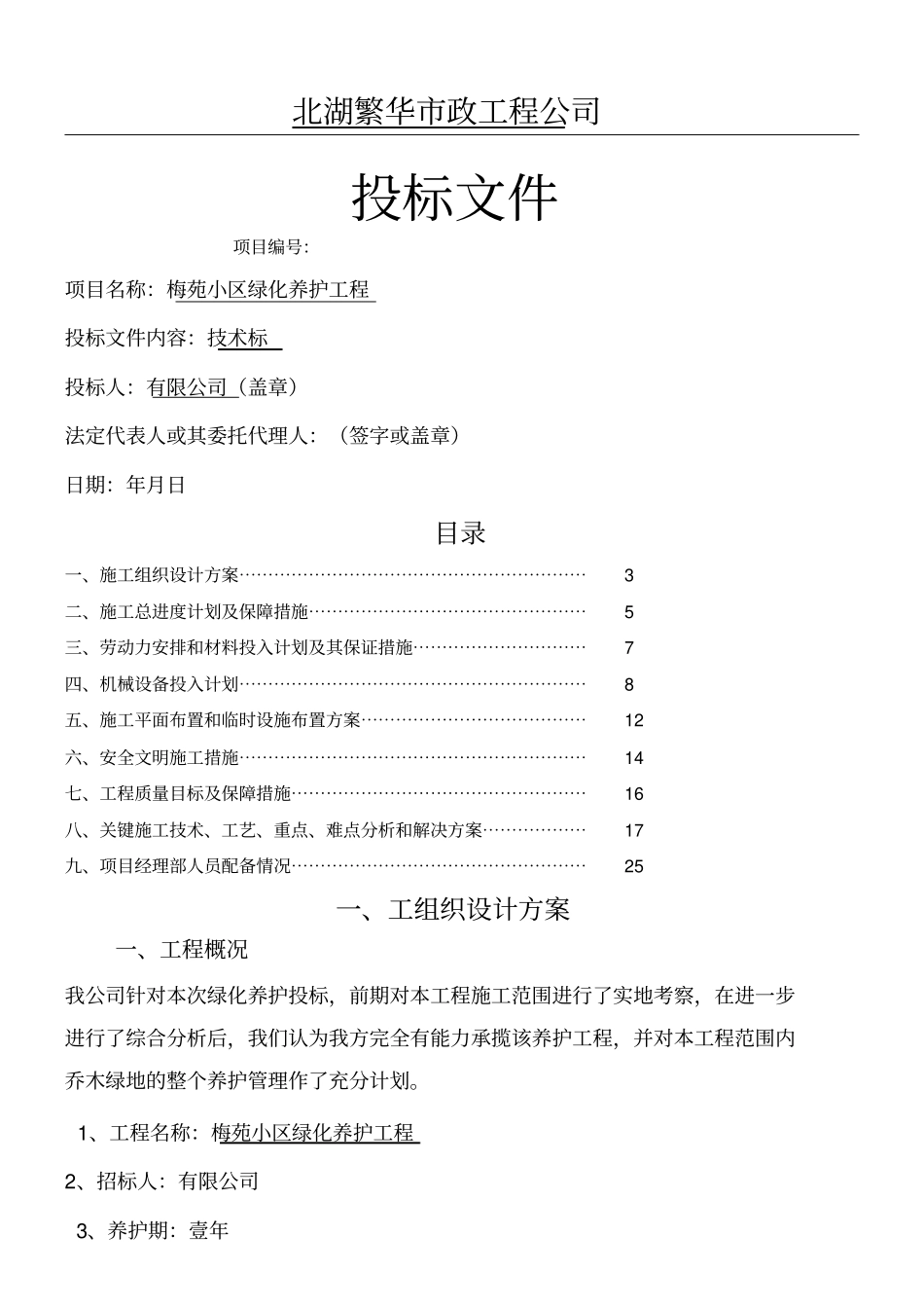 养护工程投标文件技术经验标_第1页