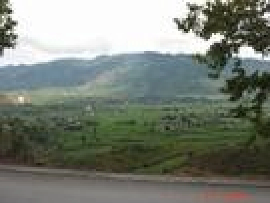 高中英语 Module4 Corner外研版必修1 课件_第2页