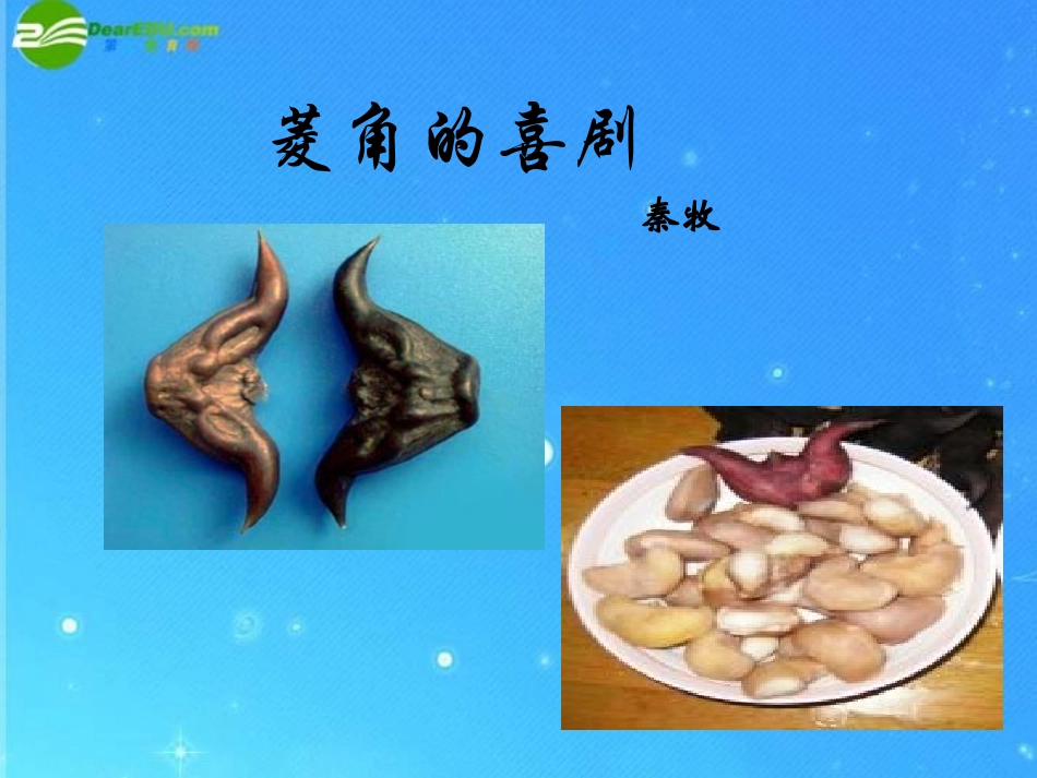 高中语文(菱角的喜剧)课件 粤教版必修2 课件_第1页