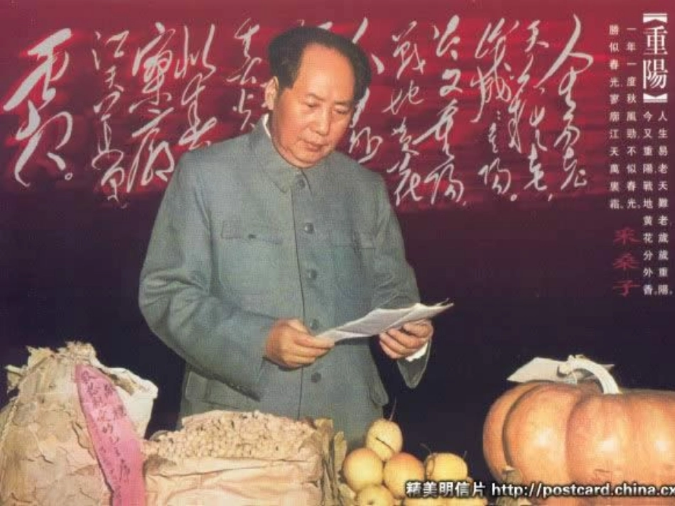 高中语文 第1课(采桑子·重阳)同步课件 人教版 课件_第3页