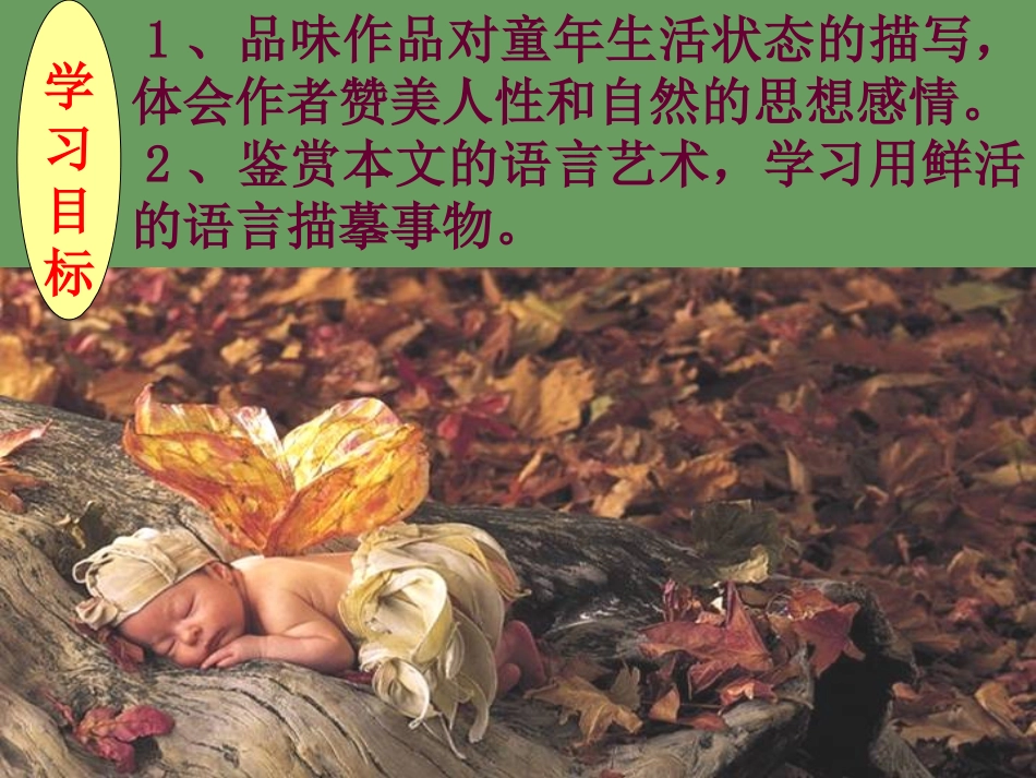 高中语文(呼兰河传)课件5 北京版选修2 课件_第2页