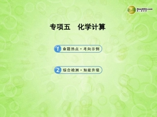 版中考化学 专项五化学计算(含中考示例)课件 新人教版 课件