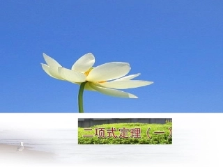 浙江省高三数学优质评比课件：二项式定理(之三) 课件