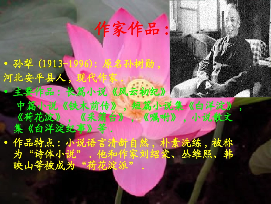 高中语文(荷花淀)课件 鲁教版必修2 课件_第2页