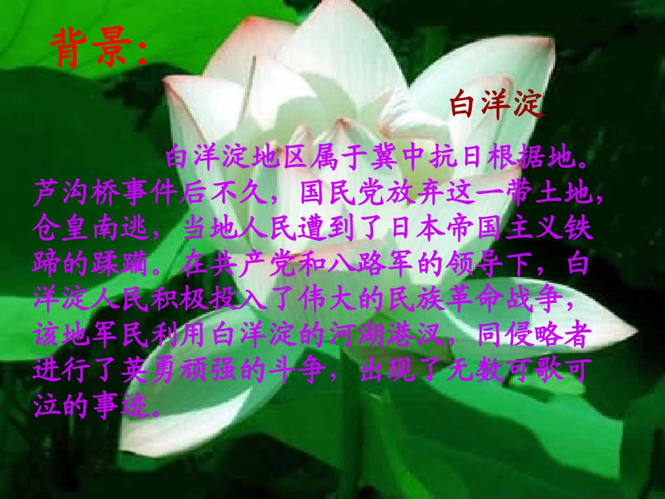 高中语文(荷花淀)课件 鲁教版必修2 课件_第3页
