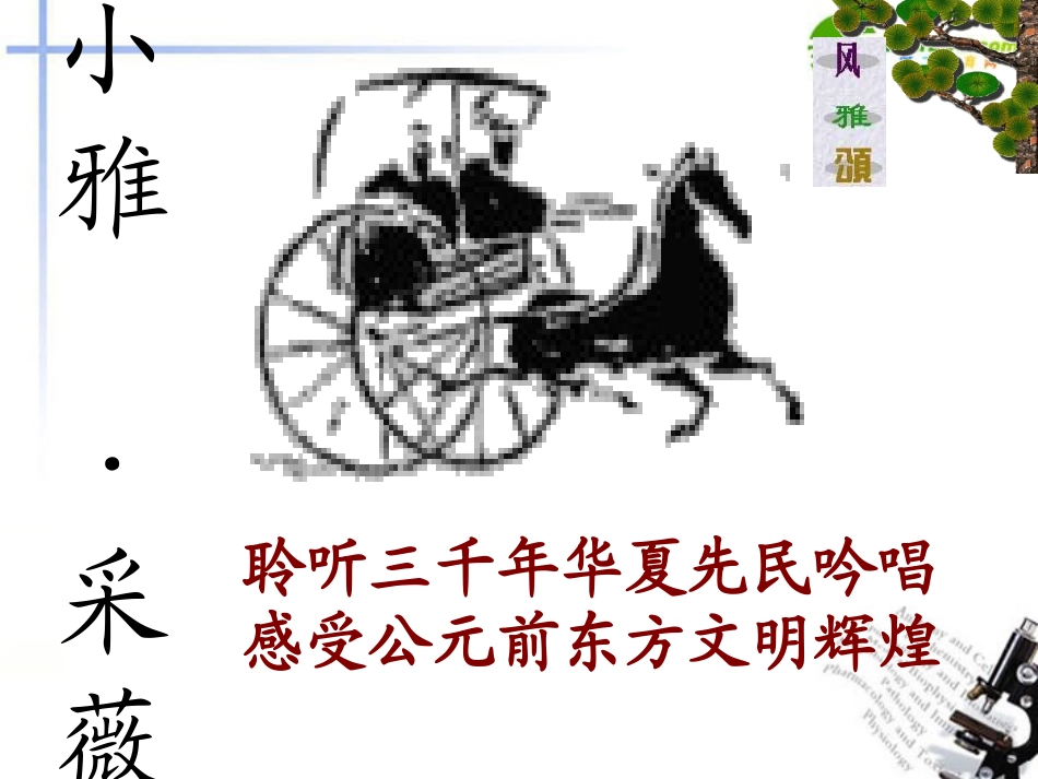 高中语文 第二单元第5课(采薇)课件 新人教版必修2(高一) 课件_第1页