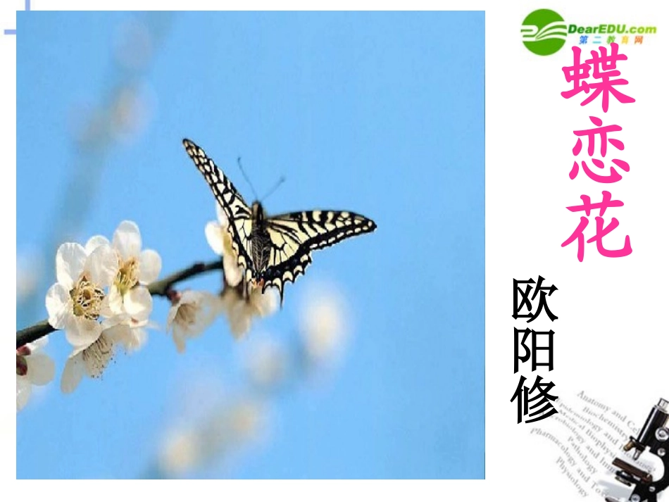 高中语文 第三专题(蝶恋花)课件(1) 苏教版必修4 课件_第1页