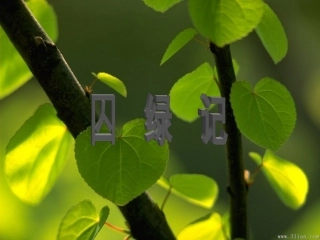 高中语文 囚绿记5课件 新人教版必修2 课件