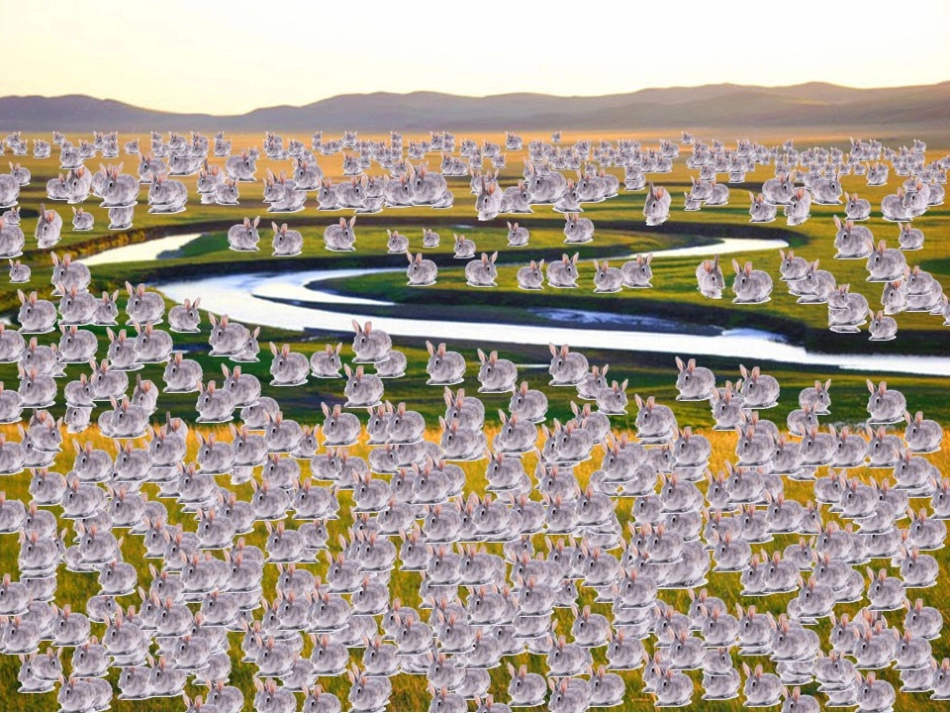 高中数学 几种不同增长的函数模型课件 新人教A版必修1 课件_第2页