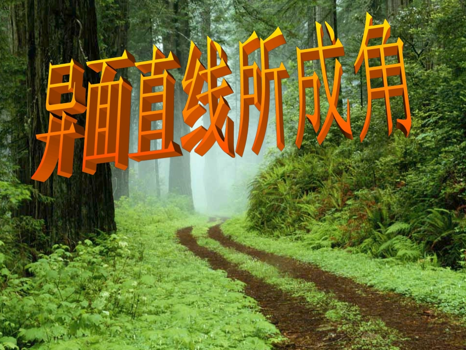 高一数学(异面直线所成角)课件_第1页