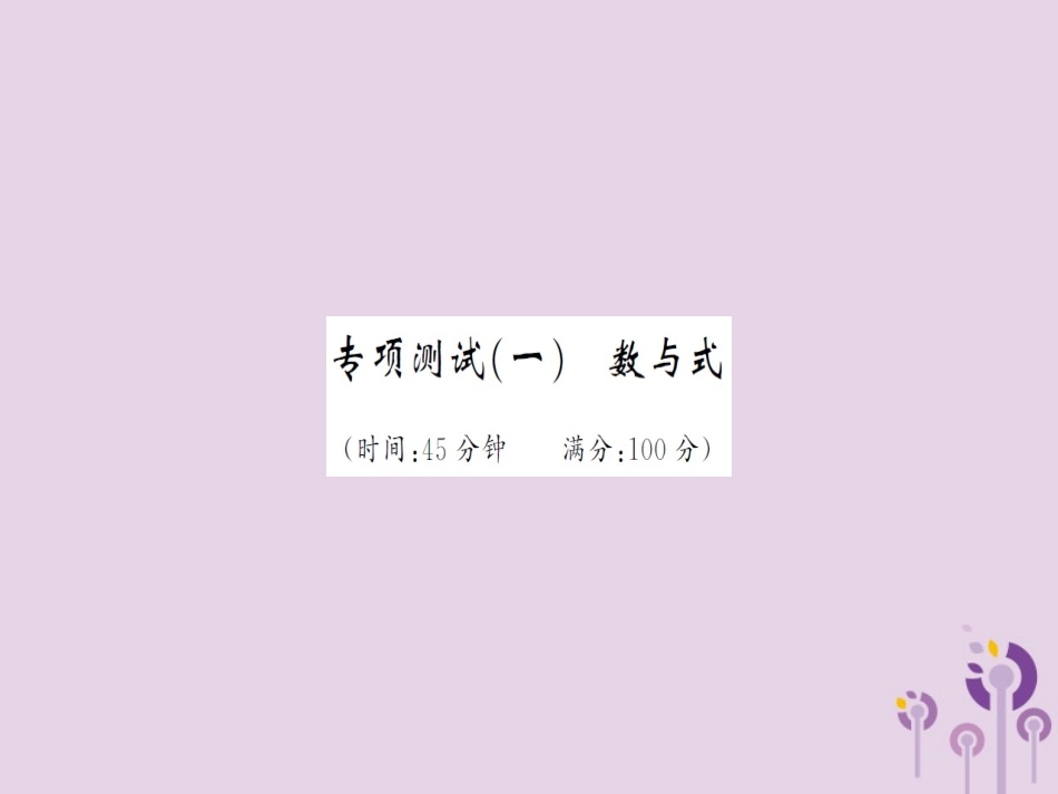 湖北省中考数学 专项测试(一)数与式习题练课件_第1页