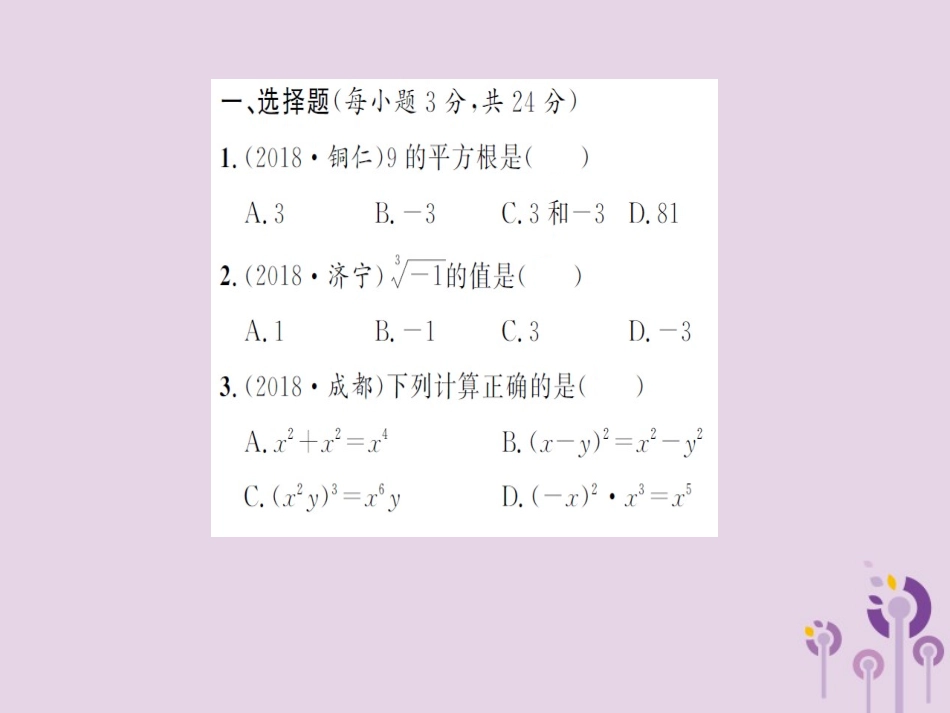 湖北省中考数学 专项测试(一)数与式习题练课件_第2页