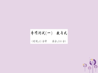 湖北省中考数学 专项测试(一)数与式习题练课件