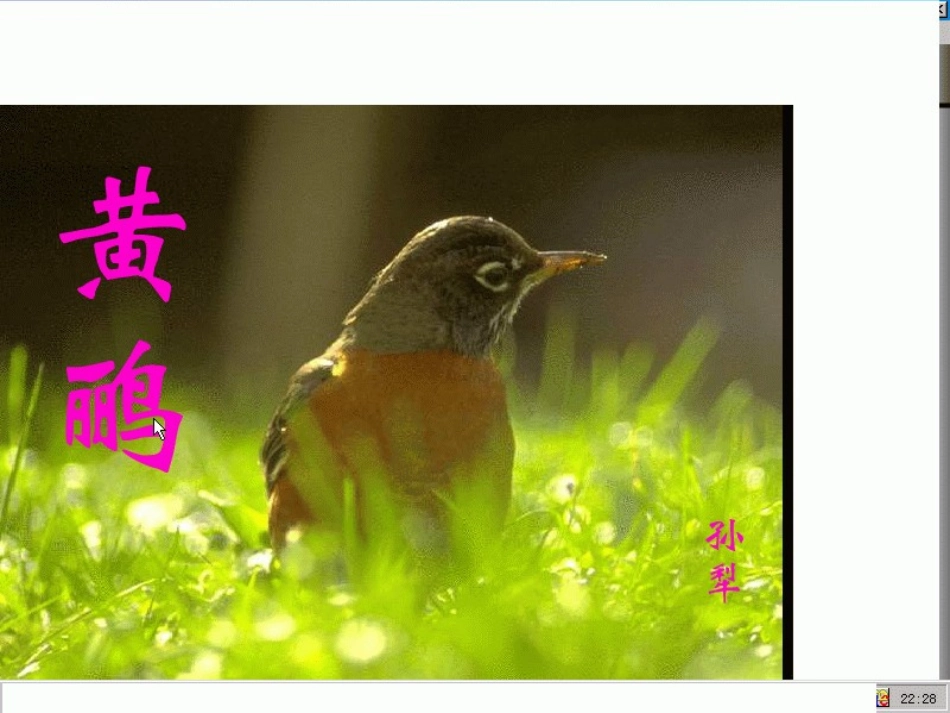 高中语文(黄鹂)课件 语文版必修1 课件_第2页