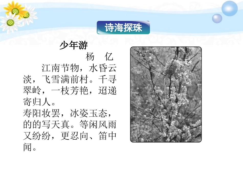 高考语文 专题八 破阵子 踏莎行 蝶恋花复习课件 苏教选修 课件_第3页