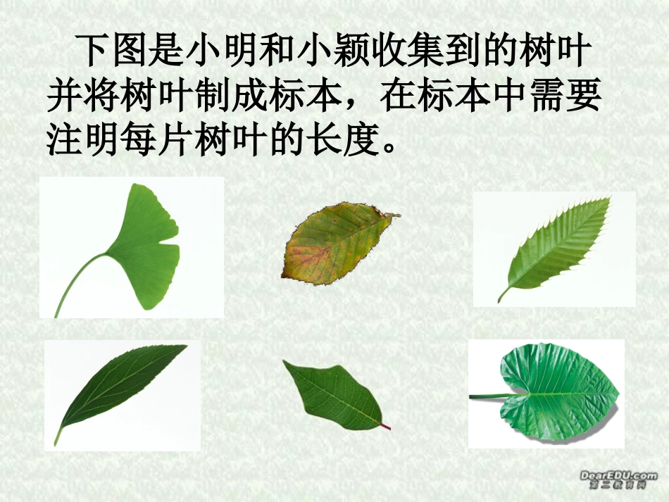近似数和有效数字(1)新课标 人教版 课件_第2页