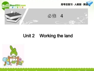 高考英语一轮复习 Unit 2课件 新人教版必修4 课件
