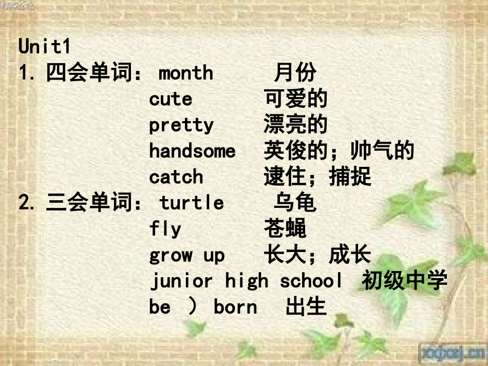 上教版牛津英语1-3单元复习资料_第1页