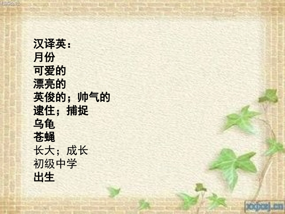 上教版牛津英语1-3单元复习资料_第3页