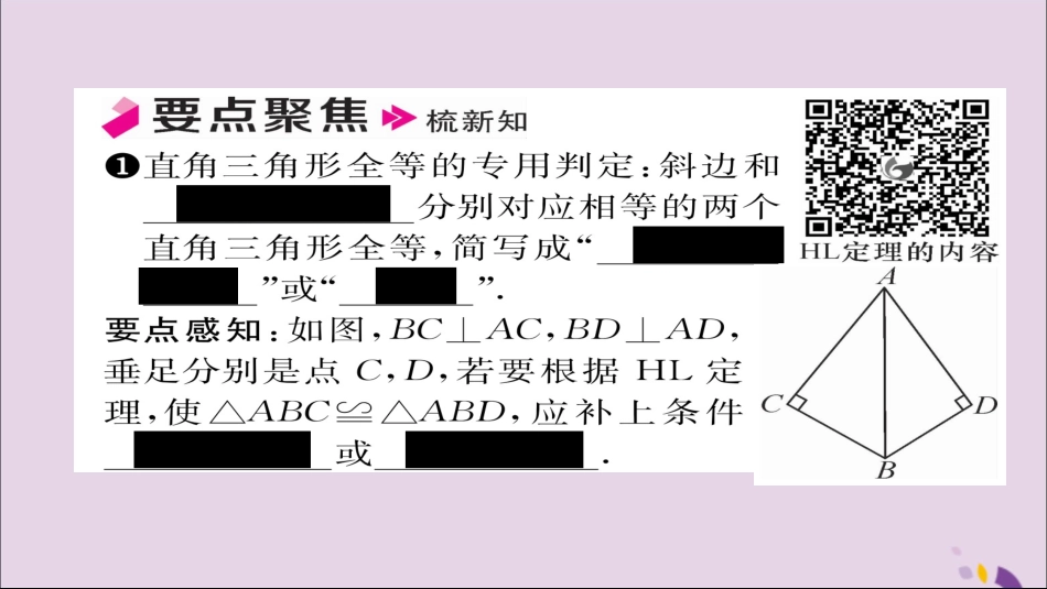 秋八年级数学上册 第十二章 全等三角形 12.2 三角形全等的判定 第4课时 用 HL 判定直角三角形全等课件 (新版)新人教版 课件_第2页